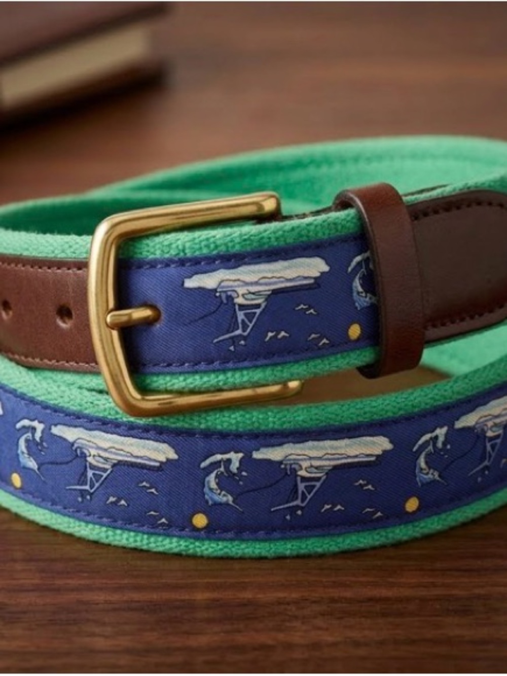 Vineyard Vines Navy & Mint Whale Embroidered Canvas Belt with Brown Leather Trim
